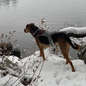 Meet your Posher, Reggie